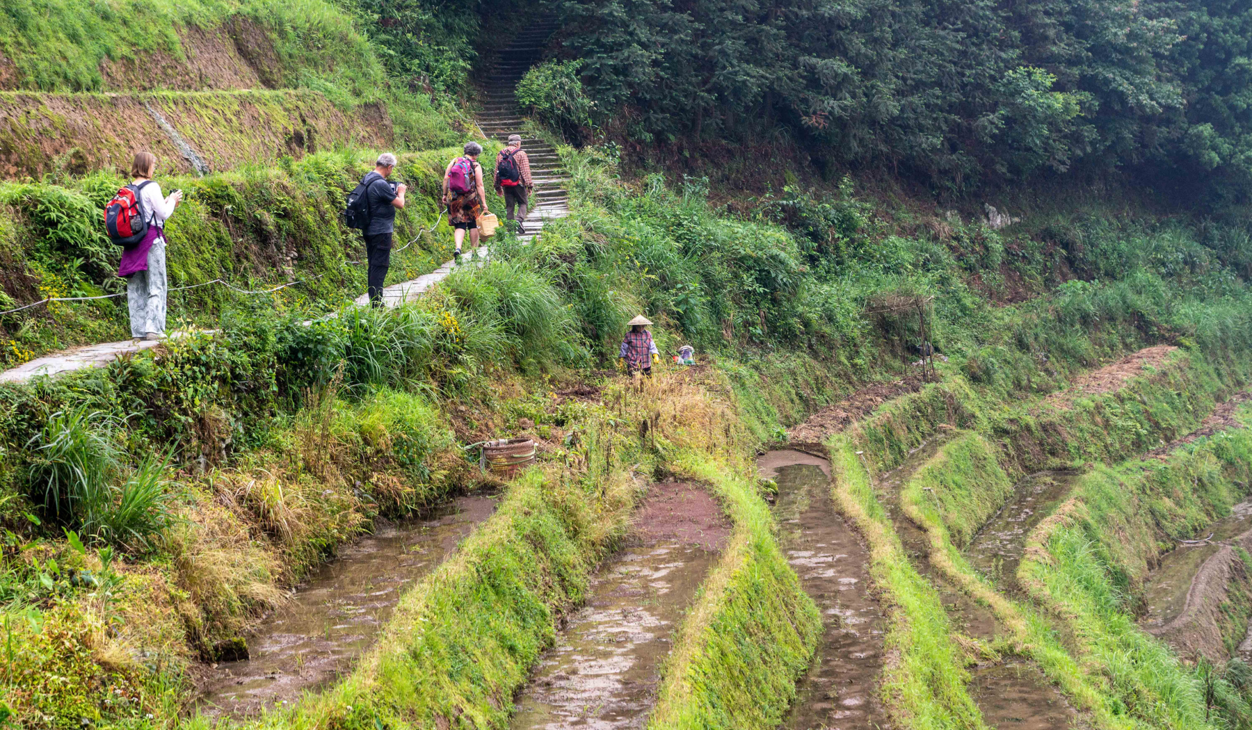 Longsheng Reisterrassen