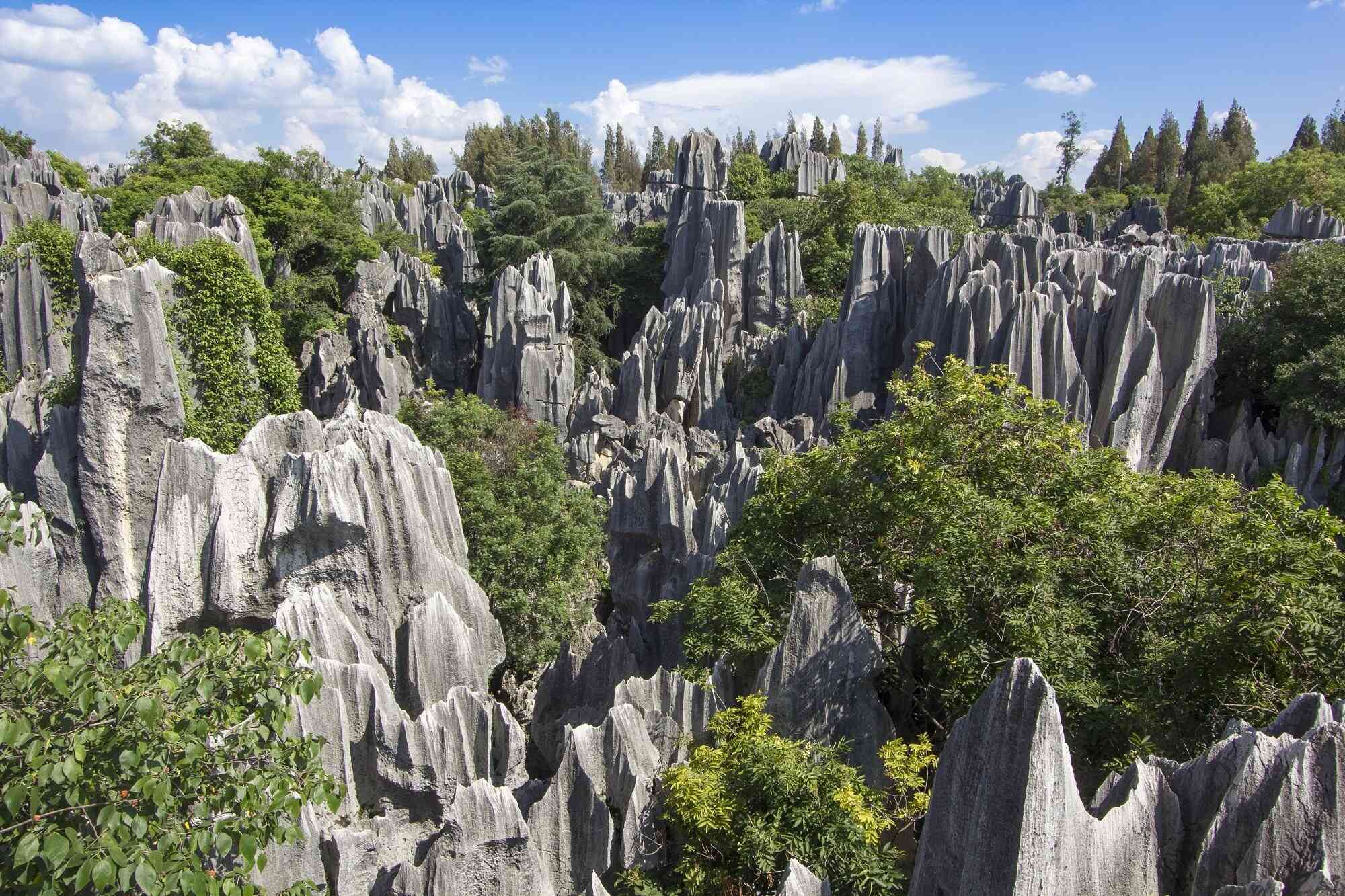 Steinwald "Shilin" bei Kunming