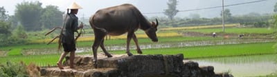 blog-it-image-