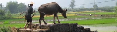 blog-it-image-