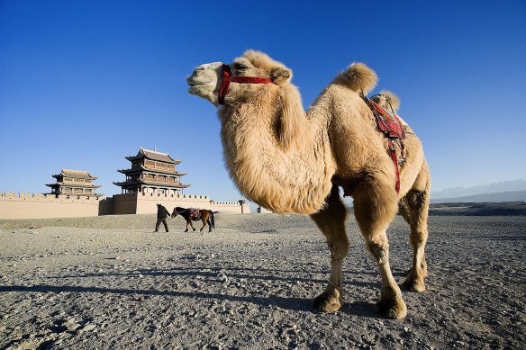 Stan, das Maskottchen von New Silk Road – powered by China Tours