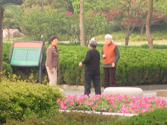 Die tägliche Gymnastik im Park hält Chinas Senioren fit