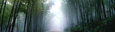 blog-it-image-