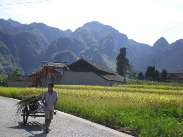 FanJingShan - grünes Paradies