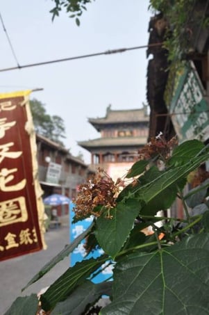 Im Herzen Henans: Luoyang