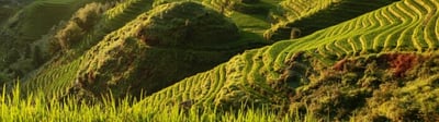 blog-it-image-