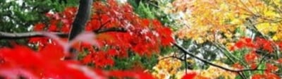 blog-it-image-