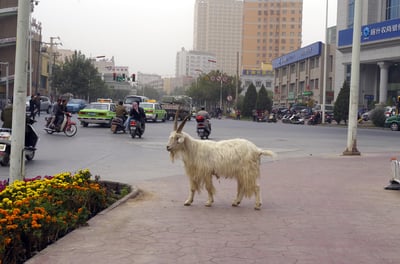blog-it-image-933