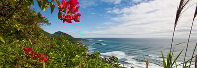 blog-it-image-