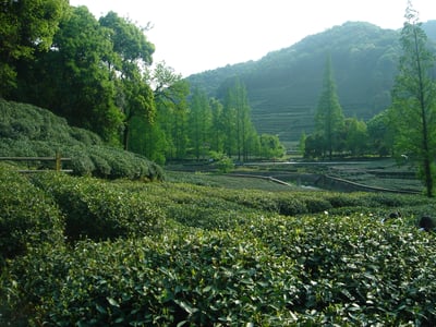 blog-it-image-