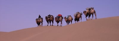 blog-it-image-