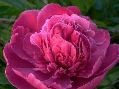 blog-it-image-875